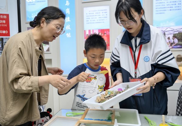 配资股票交易网站 这项活动全市有5万个名额，你家娃抢到吗？