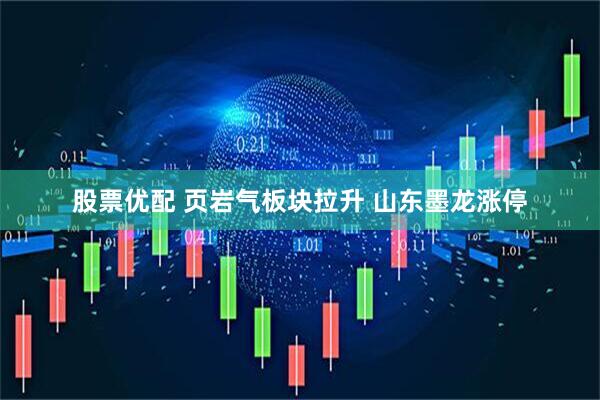 股票优配 页岩气板块拉升 山东墨龙涨停